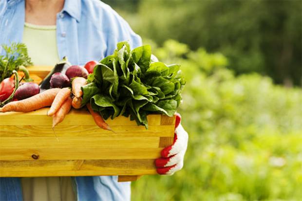 Alimentos orgánicos, caros pero lo valen