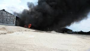 Incendio consumió granjas avícolas en Tehuacán