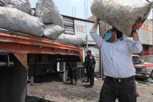 Profepa incauta en Puebla leña y carbón sustraídos ilegalmente
