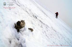 Segob y familiares suspenden rescate de momias del Pico de Orizaba