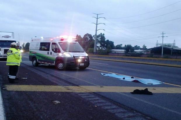 Hombre murió arrollado en la autopista México-Puebla