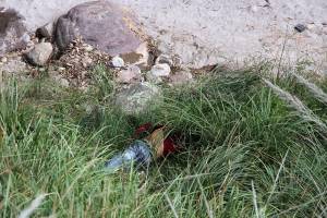 Hallan cadáver de un hombre en la autopista Amozoc-Perote