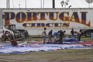 Por nueva ley, 100 circos de Puebla desaparecen y despiden empleados