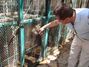 Diputado cederá sus 300 animales para el nuevo zoológico en Tehuacán
