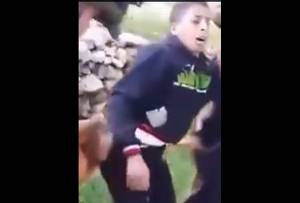 VIDEO: Israelíes usan perros para detener a niño palestino