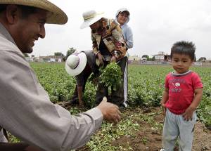 Puebla reduce pobreza extrema y mejora ingreso de sus habitantes: Coneval