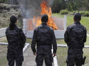 PGR incinera 257 kilogramos de marihuana decomisada en Puebla