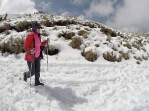 Puebla con -5 a cero grados con heladas en zonas altas por frente frío 33