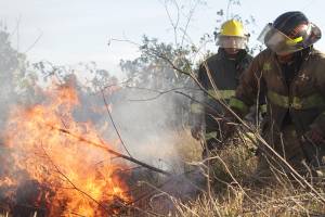 Combaten incendios forestales en tres municipios de Puebla