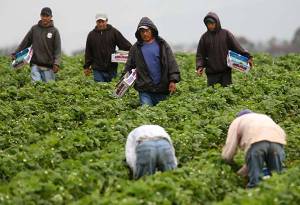 Estudio revela que cada vez más mexicanos abandonan EU