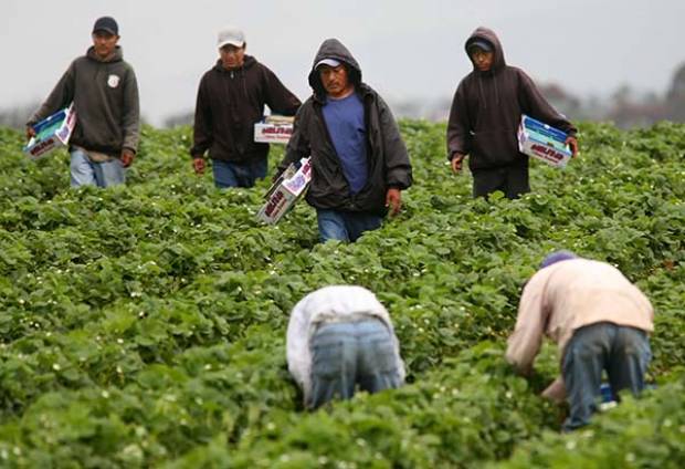 Estudio revela que cada vez más mexicanos abandonan EU