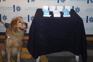 Detecta Policía Canina 36 cajas con pastillas psicotrópicas en la CAPU