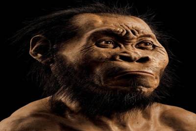 Homo Naledi, nueva especie humana identificada por osamenta en África