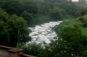 VIDEO: Densa espuma cubre el río Atoyac en su paso por Puebla
