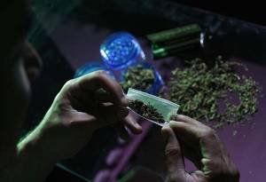 Senadores del PAN votarán a favor del uso medicinal de la marihuana