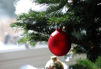 ¿A dónde llevar el árbol de navidad para reciclar?