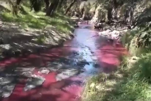 VIDEO: Fábricas tiñen de rojo el río Acotzala en San Martín Texmelucan