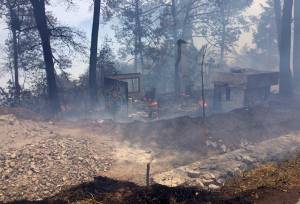 Conafor denunciará ante PGR incendios forestales en Puebla