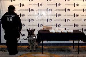 Unidad Canina localizó 600 pastillas psicotrópicas en paquetería de Puebla