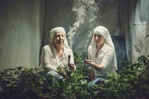 Monjas católicas cultivan y comercian marihuana en California