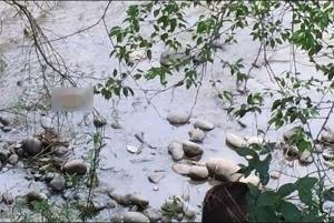 Cabeza encontrada en río no es de mujer asesinada en Puebla; hallan una pierna