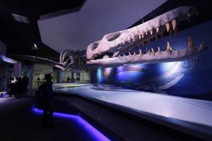 FOTOS Y VIDEO: Puebla tiene nuevo Museo de la Evolución en Los Fuertes