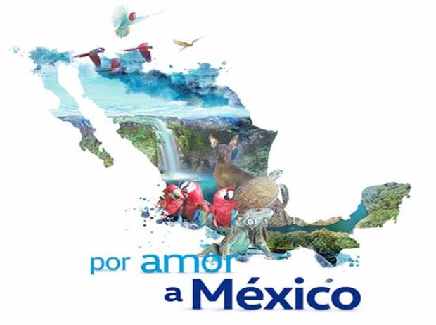 Volkswagen recibe 124 proyectos para el programa Por amor a México