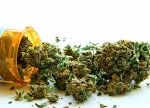 Senado avala uso medicinal y científico de la marihuana