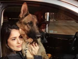 Salma Hayek: Vecino disparó a su perro para alejarlo de su casa