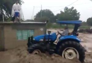 VIDEO: “Danielle” deja severos daños en ganado y cultivos de Yehualtepec, Puebla