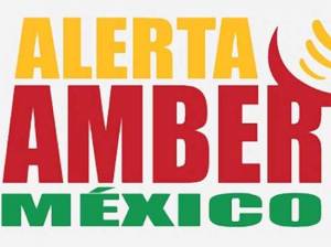 PGR perfeccionará Alerta Amber; Puebla pertenece a la zona centro