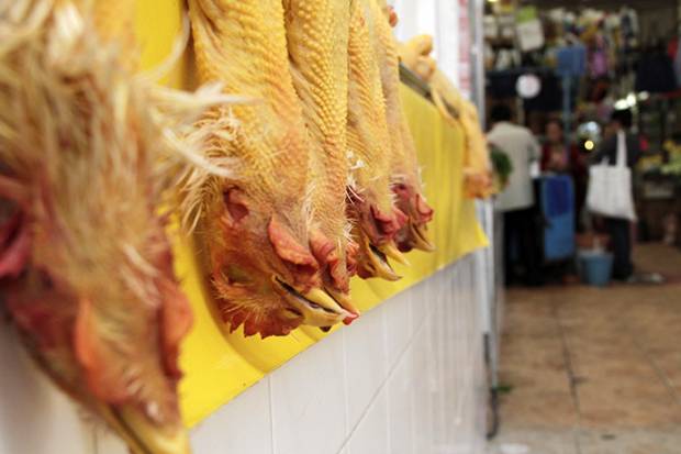 Controlan brote de gripe aviar en dos granjas del centro de Puebla