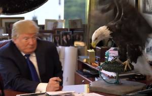VIDEO: Donald Trump es atacado por un águila llamada “Tío Sam”