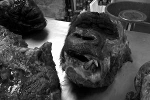 FOTOS: Necropsia al gorila Bantú, una verdadera “carnicería”
