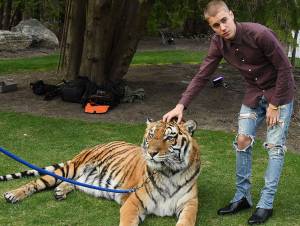 Justin Bieber hace enojar a PETA por posar con un tigre