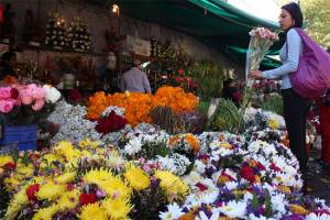 Profepa asegura especies amenazadas en tianguis de flores de Huauchinango