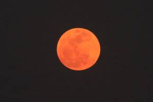 VIDEO: El 31 de enero habrá “Luna de sangre” en Puebla
