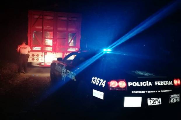 Policía Federal localizó camioneta robada con 11 toneladas de naranja en Huauchinango