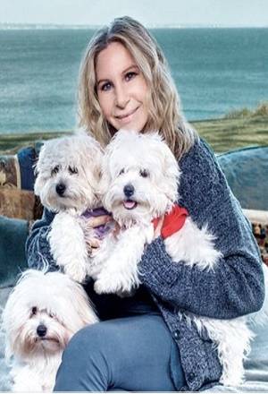 Barbra Streisand clonó a su perra en dos ocasiones