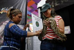 Feria de Puebla 2018: Conoce a reptiles y serpientes de México en el herpetario