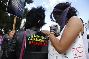 Dos de cada tres mexicanas son víctimas de violencia, señala ONU