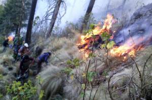 Quedó controlado el incendio en La Malinche, confirma Proteccion Civil