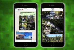 WhatsApp añade filtros y álbumes de fotos en iOS
