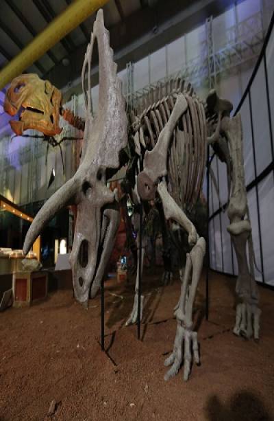 Feria de Puebla 2018: Conoce a los dinosaurios en la exposición “Huellas de la Vida”