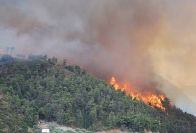 Al día se presentó un incendio forestal en Puebla en el primer mes del año: Conafor