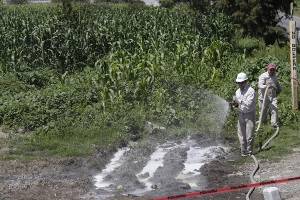 FOTOS: Descubren tomas clandestinas de combustible en Amozoc y Ocotitlán