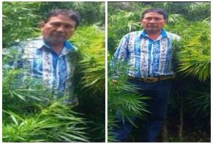 Regidor de Tochimilco presumió en Facebook fotos entre plantíos de marihuana