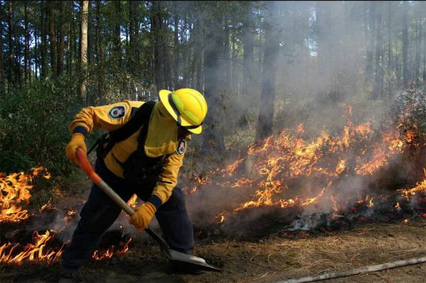 Suman 19 incendios forestales en Puebla este año; consumieron 183 hectáreas