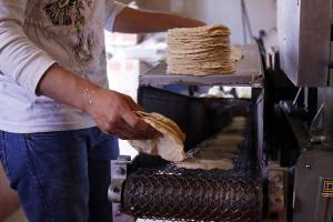 Tortillazo al iniciar el año: Kilogramo subirá entre 1.50 y 3 pesos