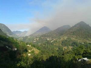 FOTOS: Incendio forestal desplaza a familias en Tetela de Ocampo